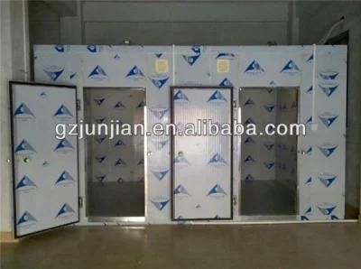 China Manufacturer New Design Customized Cold Storage Room Freezer Solar Price