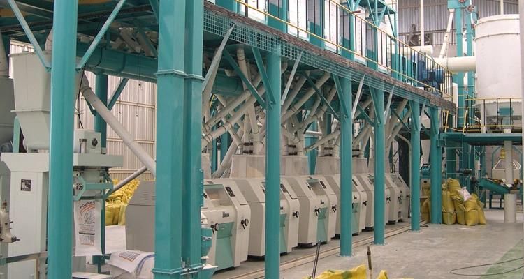 Low Fat European Standard 100t/24h Corn Flour Mill Plant for Sale