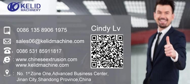 Heat Pump Black Lemon Citrus Fruits Drying Machine