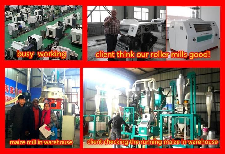 Kenya, Zambia Maize Grinding Mill Machine of 50t Per 24h