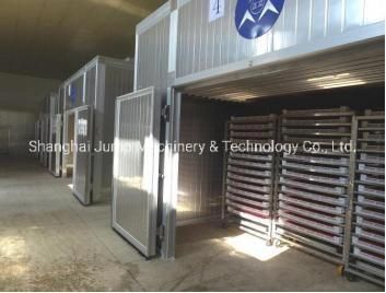 Vegetable Processing Line Washing Cutting Drying and Filling System Machine Supplied