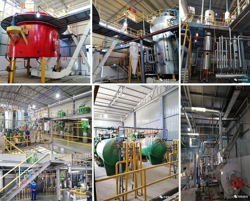 Canola Oil Crushing Press Refinery Plant Production Line