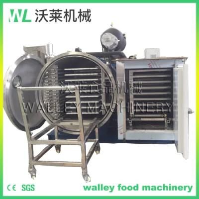 China Fruit Vacuum Freeze Dryer Machine Lyophilizer Food Freeze Dryer