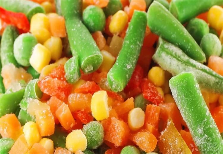 Multifunctional Hot Selling Automatic Fruit and Vegetable Freeze Drying Machine