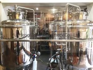 300L Craft Brewery Equipment 3hl Ss Beer Brewing System