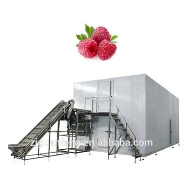 Stainless Steel Blast Freezer IQF Fruits Tunnel Freezer