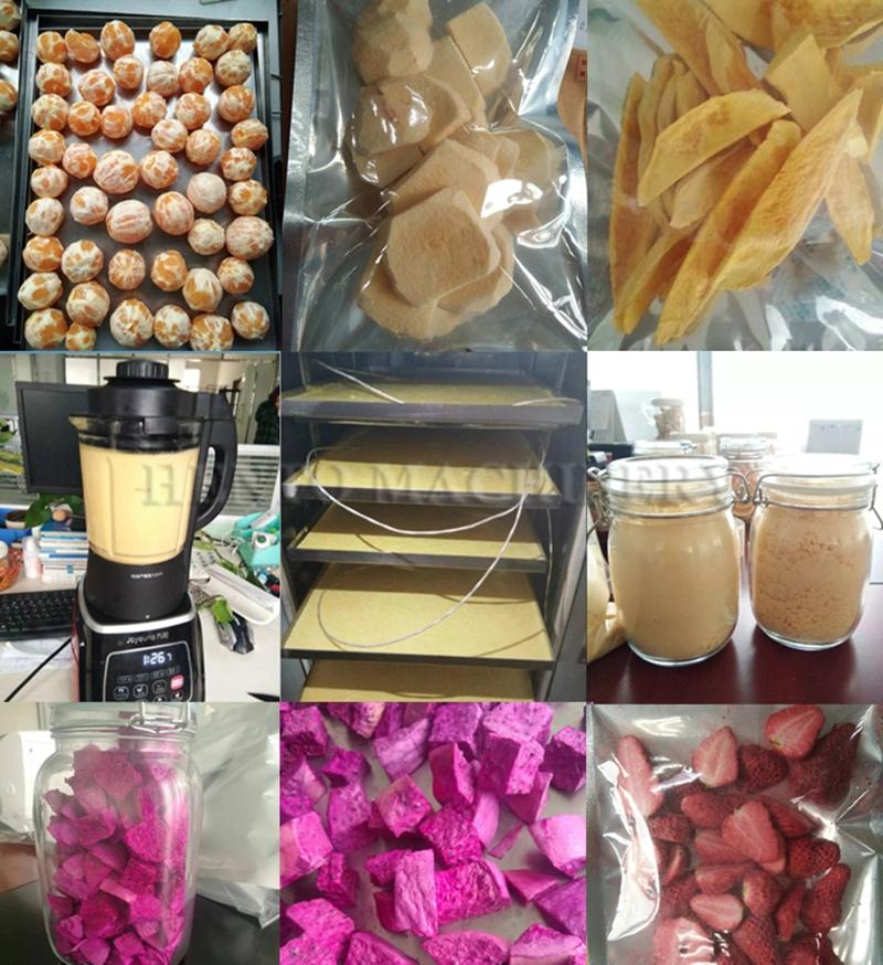 High Efficiency Freeze Dried Fruits and Vegetables Maker