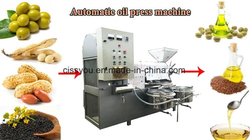 Automatic Coconut Sunflower Peanut Palm Screw Oil Press Machine