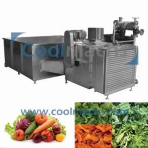 Fruits and Vegetables Dryer Machine/Bin Dehydration Drying machine