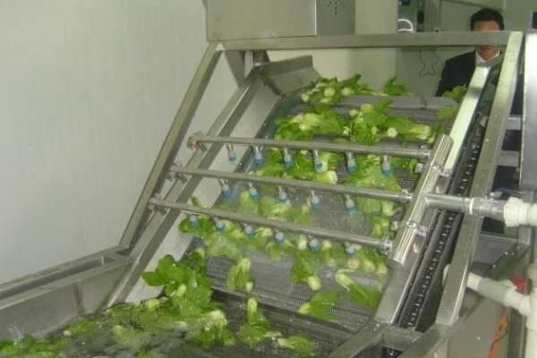 Production Line Vegetables Bubble Leafy Vegetable Fruit Washing Machine