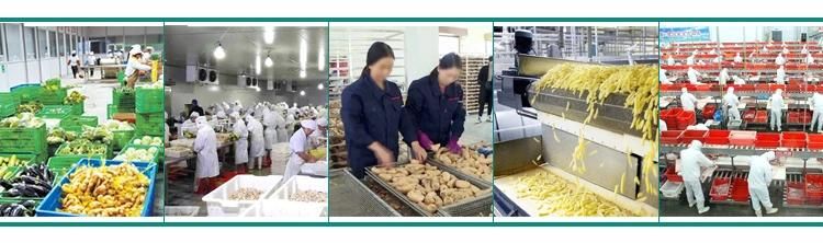 Potatoes Peeling Machinery Potato Peeler Machine Commercial Electric