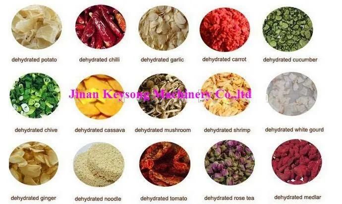 Hot Sale Vegetable Fruit Dry Dehydrator Food Machine