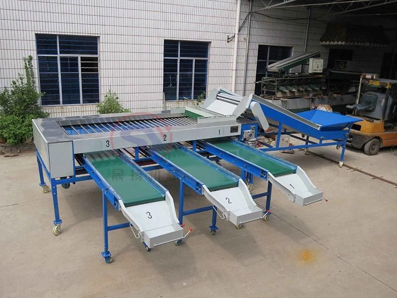 3-7 Grades Automatic Fruit&Vegetable Sorting Grading Machine Roller Type