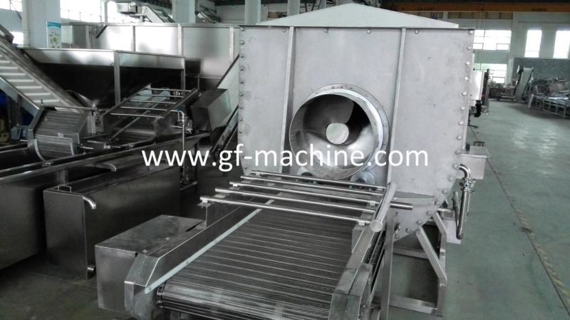 500kg/H High Efficiency Spiral Blancher Food Processing Machine