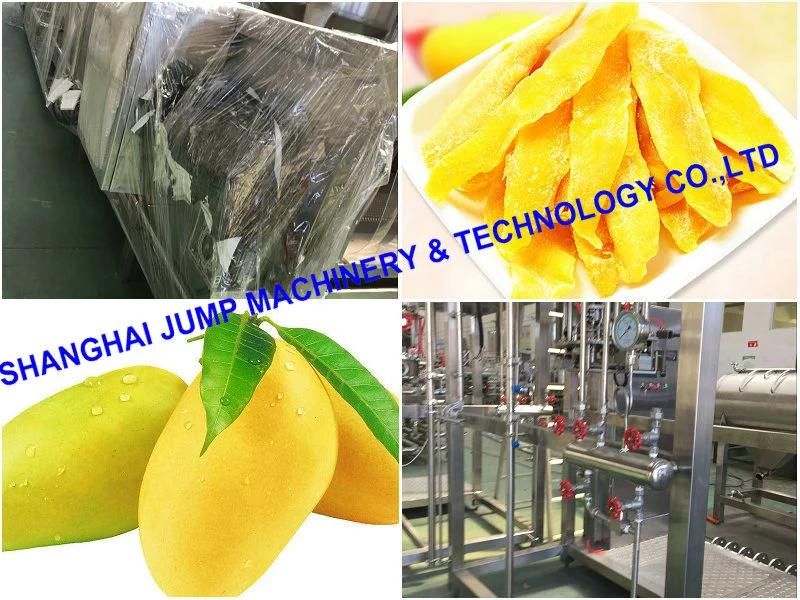 220 Litter Bulk Package Mango Pulp Processing Line