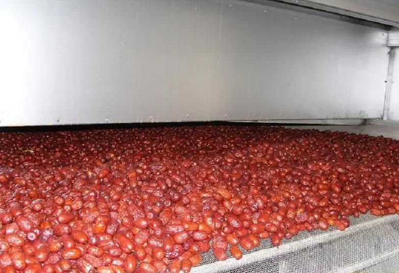 Automatic Tunnel Industrial Drying Machine