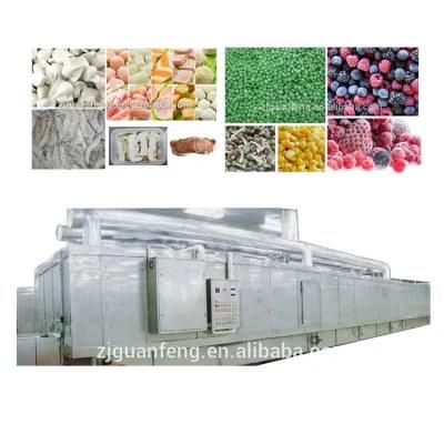 1000kg Industrial Freezer for Tuna Block IQF Tunnel Freezer