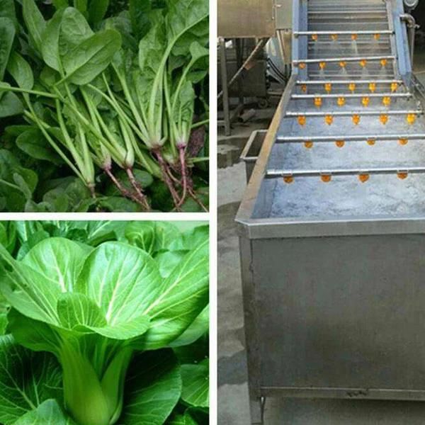 Fruit Vegetable Washing Machinery Fruits and Vegetables Water Bath Cleaning Machine