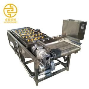 High Pressure Washer for Fruits and Vegetables