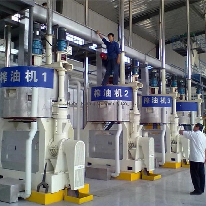 Vegetable Oil Production Line Peanut Oil Press Line