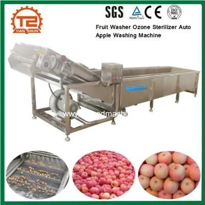 Fruit Washer Ozone Sterilizer Auto Apple Washing Machine