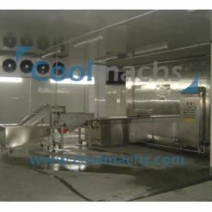 IQF Spiral Quick Freezer Food Processing Machine IQF Freezing Tunnels IQF Machine