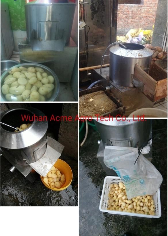 Commercial Potato Peeler and Cutter Machine Price