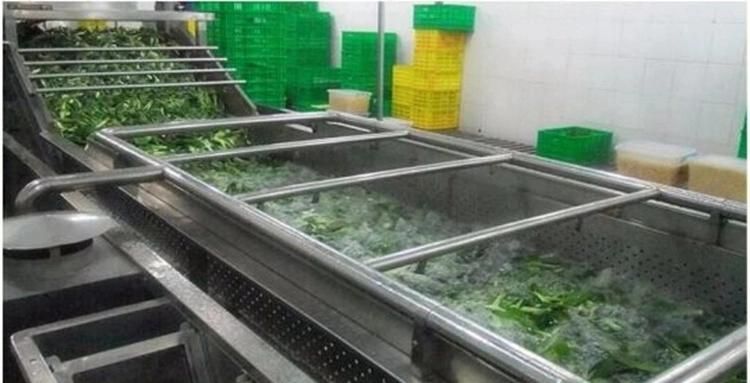 Commericial Vegetable and Fruit Food Washing Cleaning Machine