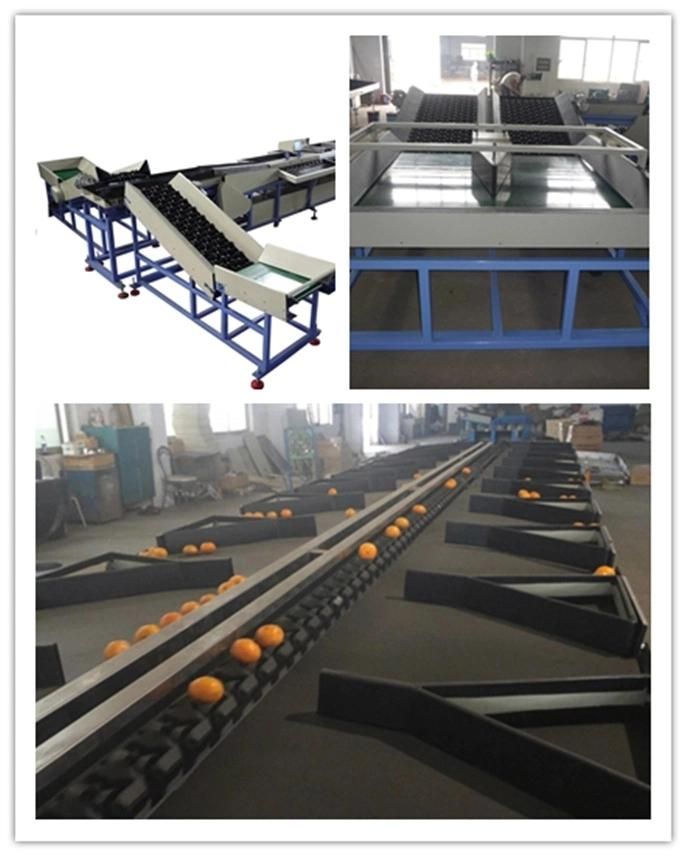Food Fruitprawn Weight Sorter Grading Machine