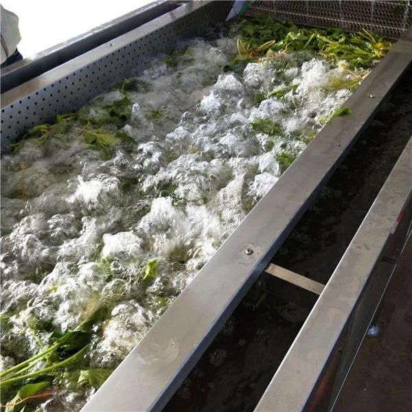Vegetable Air Bubble Washer Cabbage Cleaning Machine