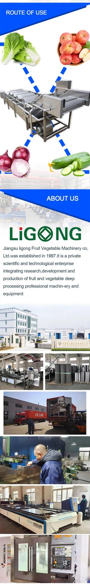 Industrial Fruit Leaf Vegetable Cleaning Washer and Washing Processing Machinery