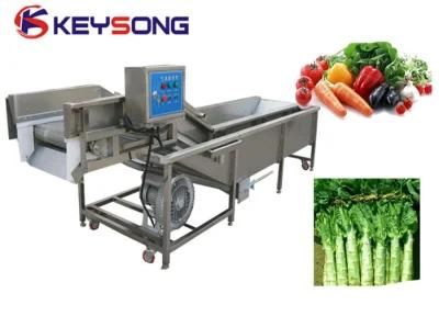 Factory Direct Supply Vegetable Air Washing Machinery