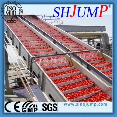 Tomato Paste Blending Machine and Tomato Paste Packing Machine