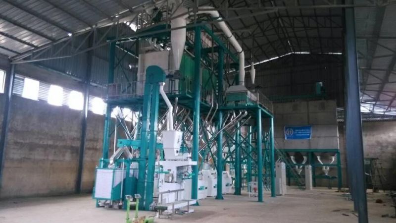 High Quality Wheat Flour Mill to Make Bread Cake and Pasta
