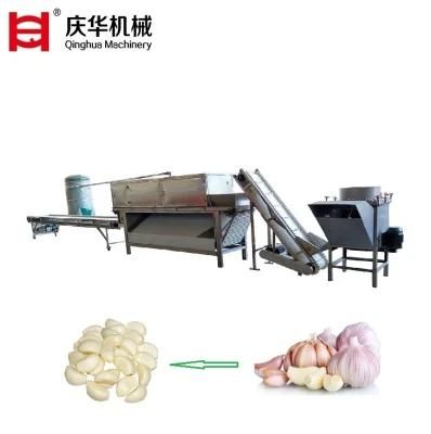 Direct Selling Garlic Peeling Equipment Chain Type Garlic Peeling machine