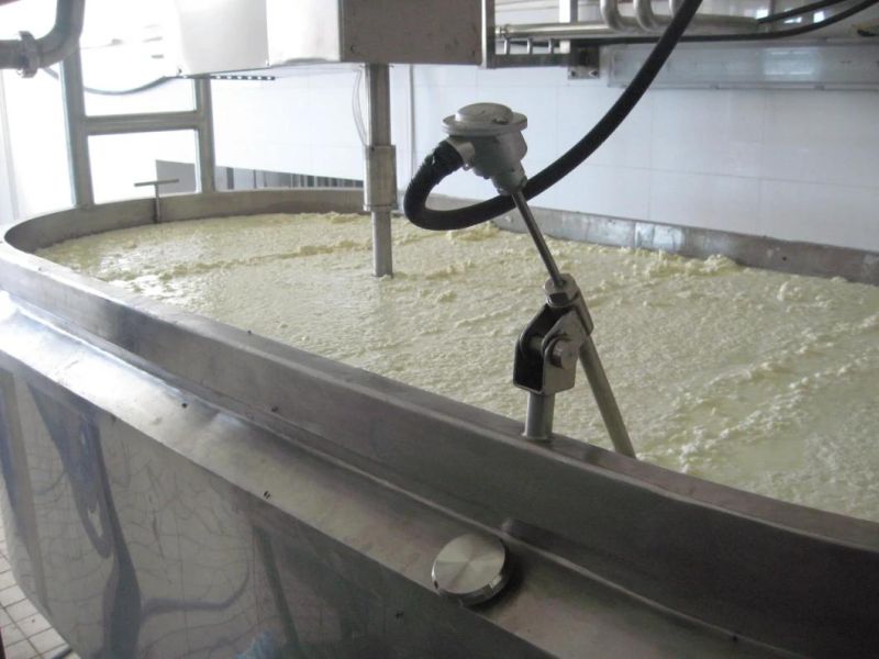 Small Scale Mozzarella Cheese Production Line White Mould Making Machine