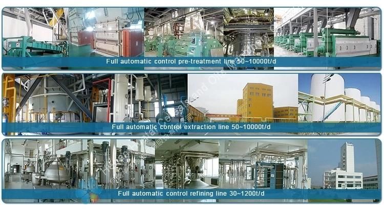 Fully Automatic Rice Bran Oil Making Equipment/ Coconut Oil Solvent Extraction/ Sunflower Oil Refinery Machine