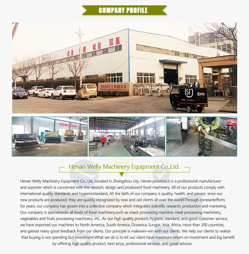 Round and Long Shape Banana Chip Production Line for South America