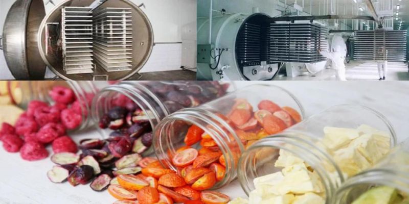 Energy-Saving and Indirect Heating Drying Industrial Freeze Vacuum Dryer Machines