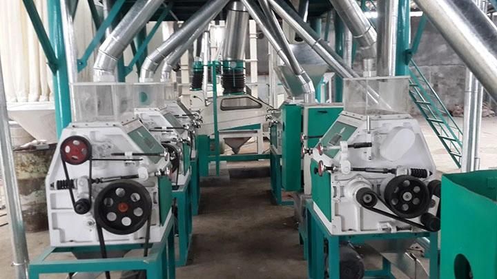 30t/24h Fully Automatic Maize Flour Mill Machine