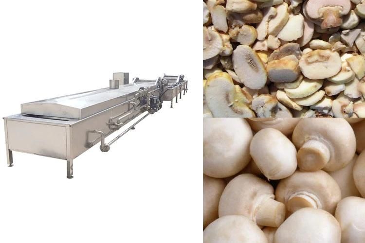 Blancher Conveyor Vegetables Boiler Cooking Machinery Industrial Mushroom Blanching Machine