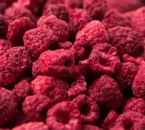 Fruits Vacuum Freeze Dryer Raspberry Dehydrator Machine Vacuum Freeze Dryer
