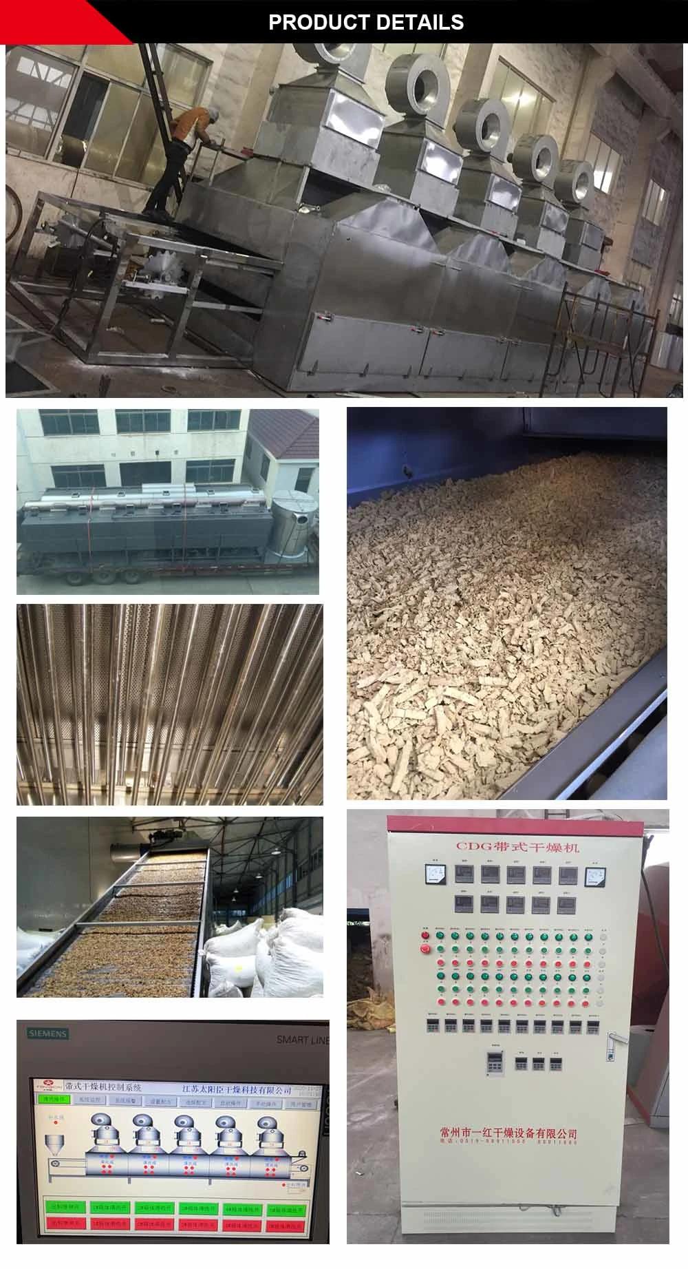 Coconut Crispy Chips Drying Machine / Sliced Coconut Meat Belt Dryer