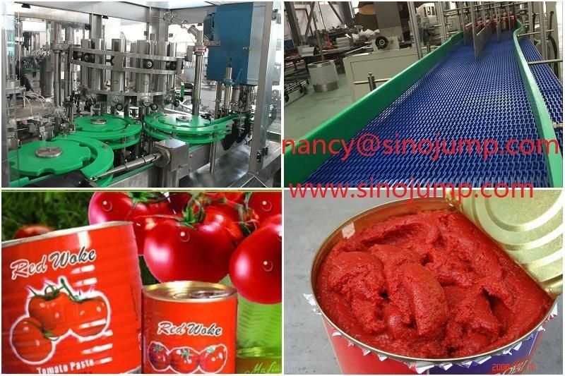 Tomato Paste Processing Equipment with Advanced Technology