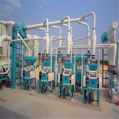 15-20t/24h Small Maize Flour Mill Complete Line