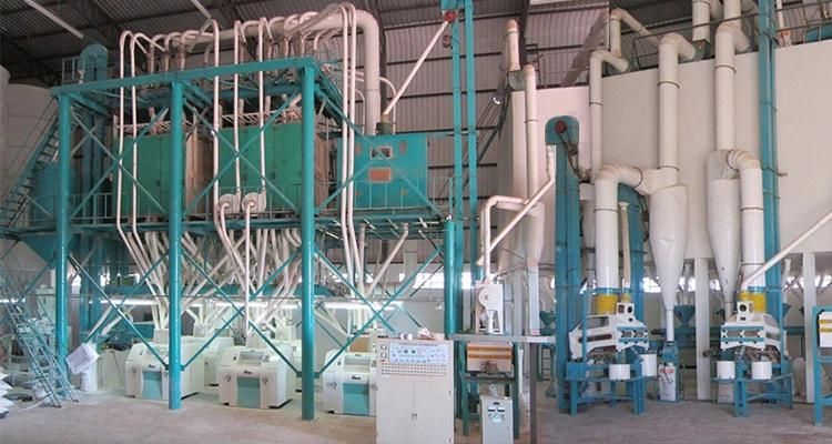 Complete Mill Line 50t/24h Wheat Flour Making Machine