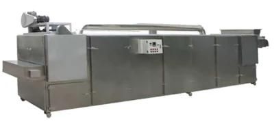 High Quality Dehydrated Vegetable Processing Dried Fruit Production Line