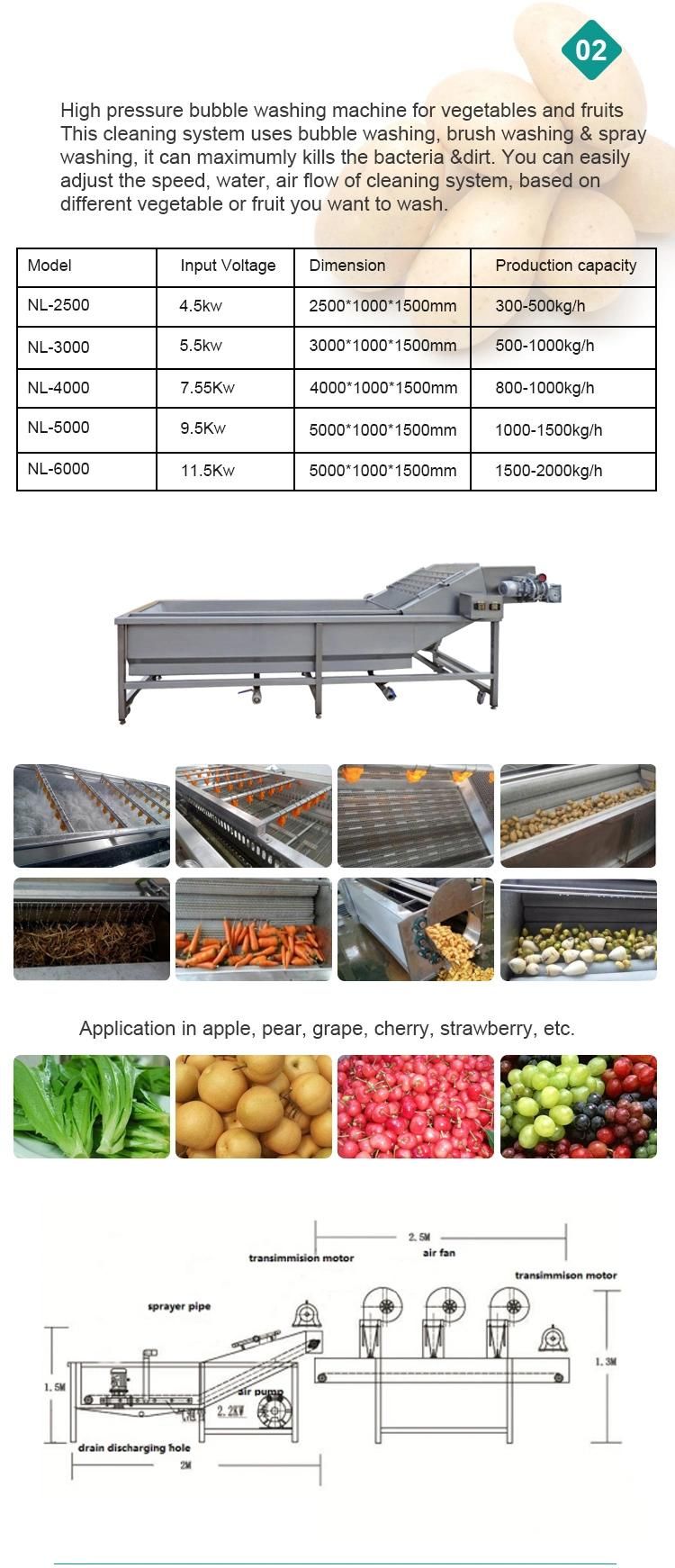 Industrial Automatic Washer Vegetable Cleaning Machine Fruit Washing Machine