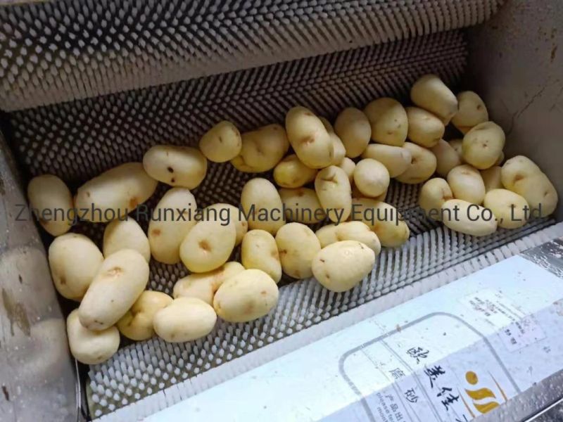 Industrial Fresh Vegetable Fruits Cleaning Drying Processing Dry Dates Washing Machine