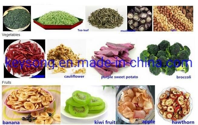 Industrial Stainless Steel Fruit Vegetable Mesh Belt Dryer Machine